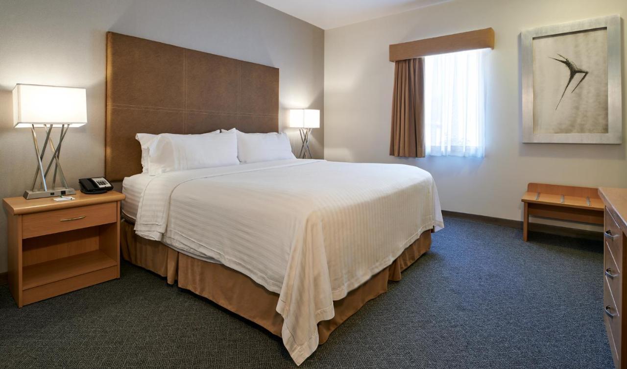 Holiday Inn Hotel & Suites Chihuahua By Ihg Dış mekan fotoğraf